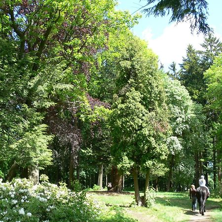 Parkhotel Smržovka Kültér fotó