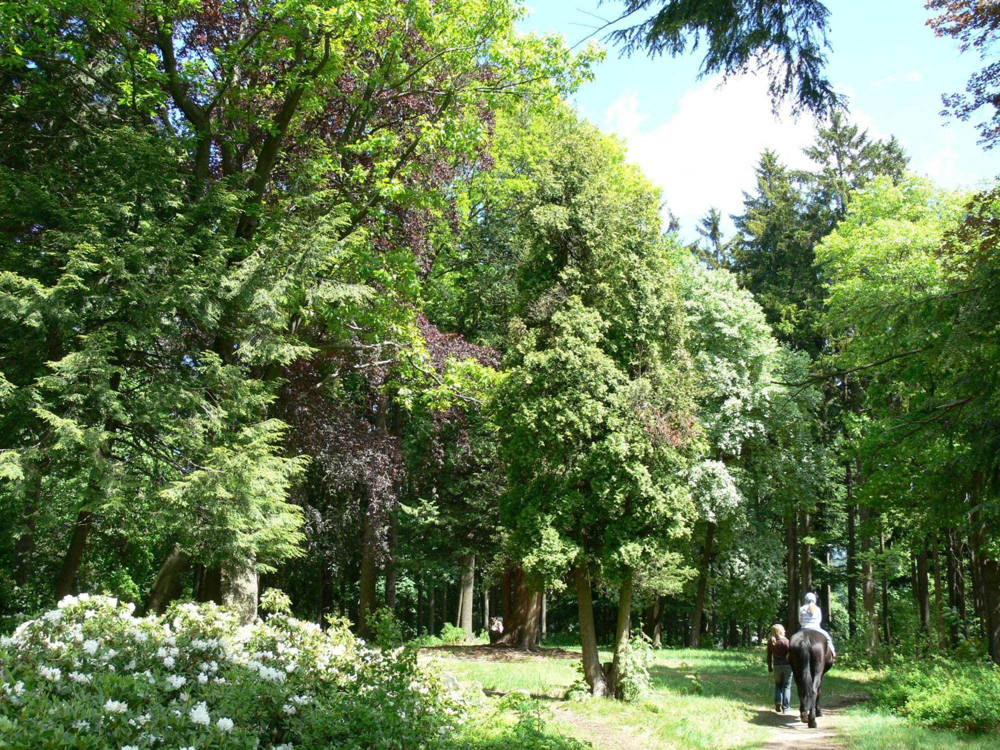 Parkhotel Smržovka Kültér fotó
